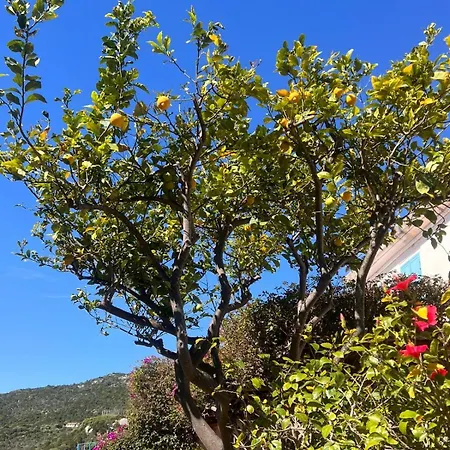 Palumbalza Sea Holiday home